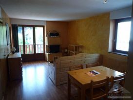Achat appartement 2 pièces BRIDES LES BAINS (73570)
